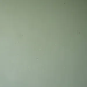 Wall repainted and floor swapped in a bedroom